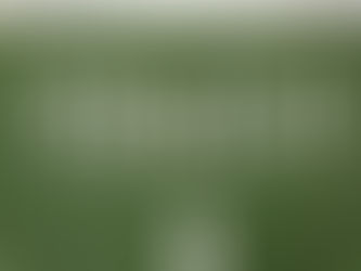 2025 Review and Outlook for 2026