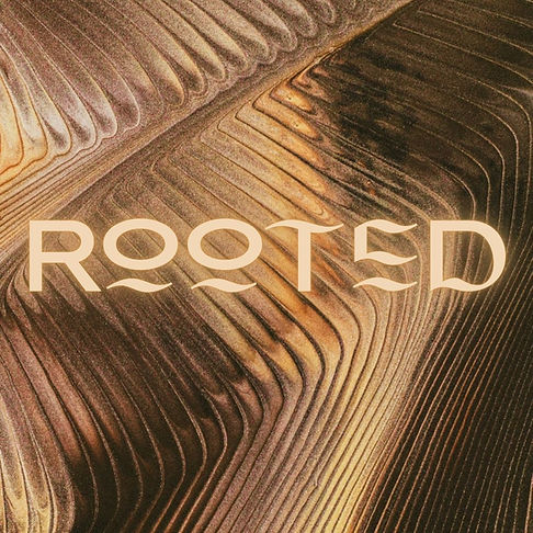 rooted.jpg