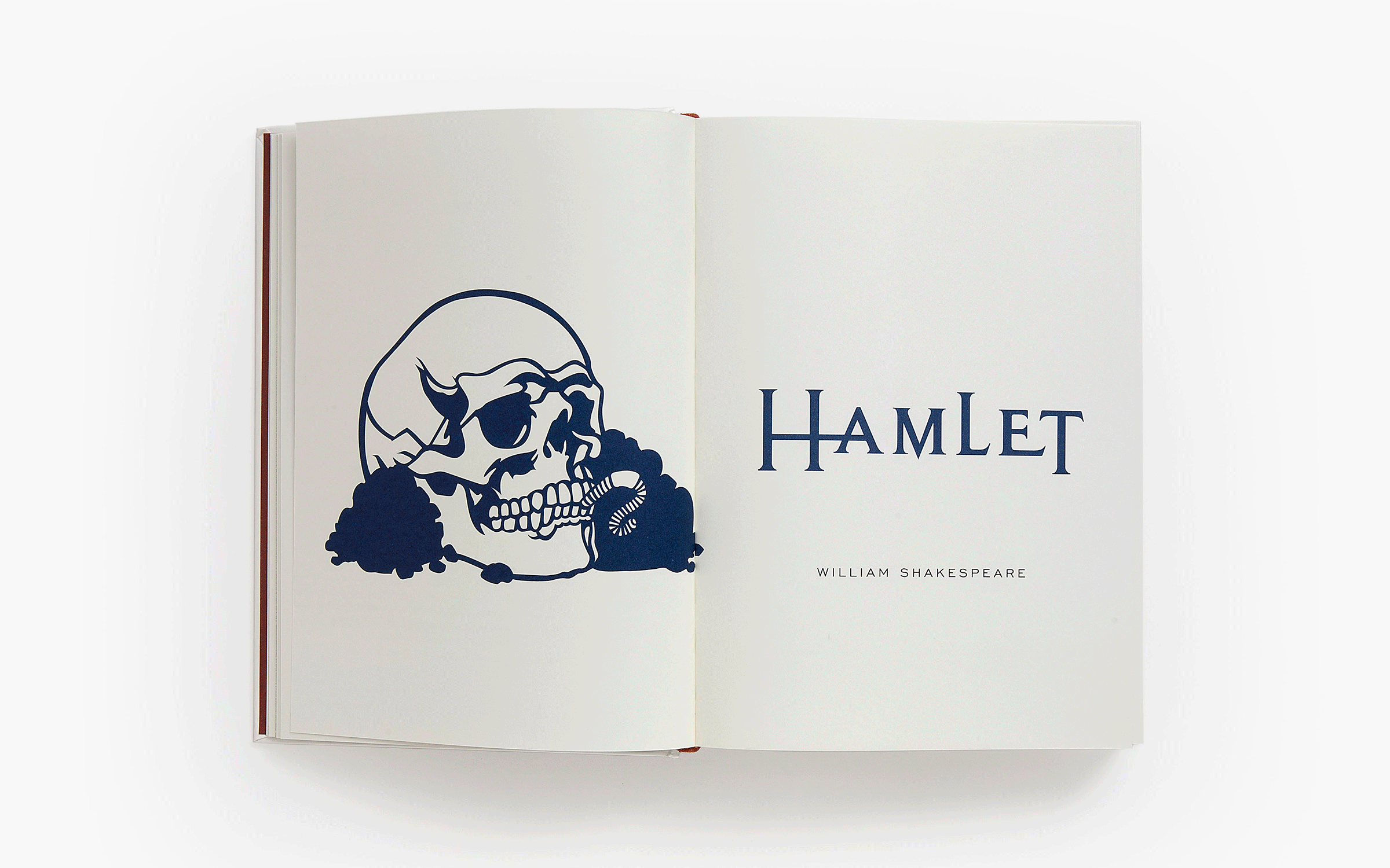 Sterling Publishing // art director: Ashley Prine // illustrator: Kevin Stanton