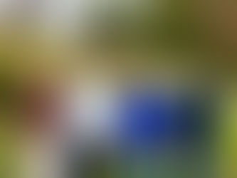 Monsana secures pre-seed funding from Seeder Fund, LRM, and private investors