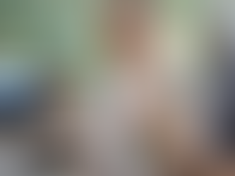 Você sabia que Campinas tem um Museu de História Natural?