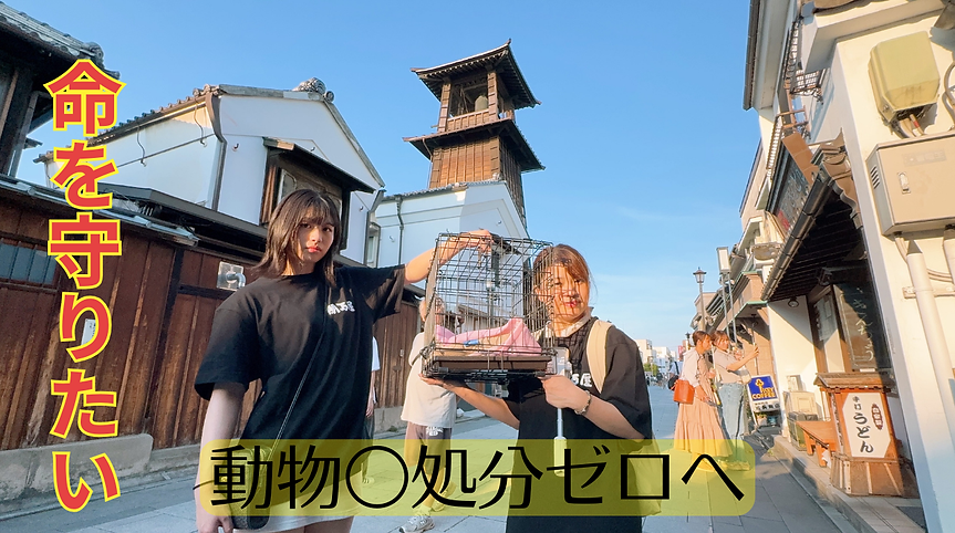 動物○処分ゼロ (1).png