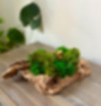 gold elephant centerpiece