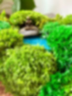 moss buddha terrarium