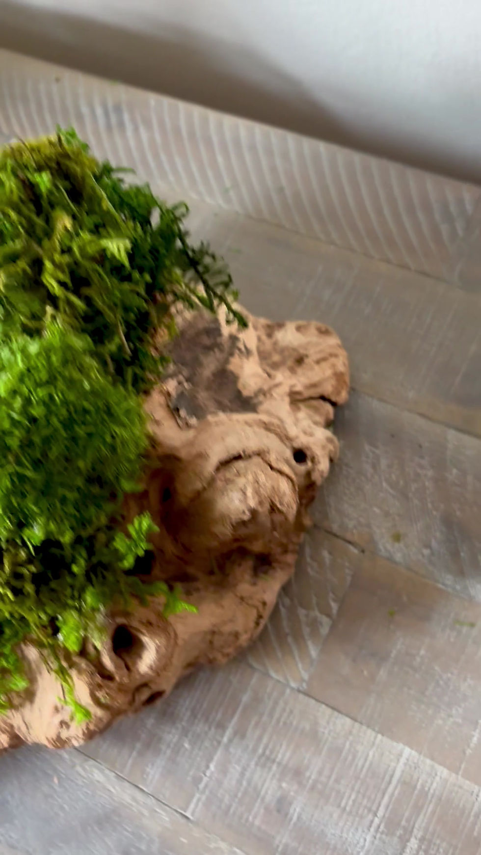 Thumbnail: Moss Wood Tabletop Centerpiece