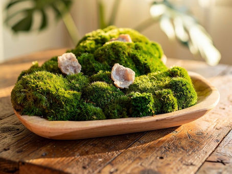 No Natural Light? Why Preserved Moss Decor Is the Perfect Solution