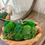 Thumbnail: Rustic Moss Bowl Centerpiece | Natural Preserved Moss Arrangement