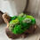 Thumbnail: Woodland Moss Driftwood Centerpiece– Natural Green Preserved Moss Table Decor