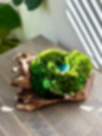 blue lagoon moss centerpiece