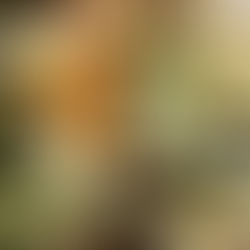 סלט תפוחי אדמה קריספי - עם תפוחי אדמה מעוכים ופריכים