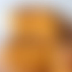 פוקצ'ה מהירה בלי לישה עם עגבניות, בזיליקום וגבינות