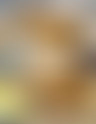 סקונס מלוחים עם עגבניות מיובשות, צ'דר ועשבי תיבול