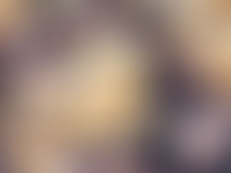 ברוקיז - השילוב המושלם של בראוניז וקוקיז (עוגיות שוקולד צ׳יפס)