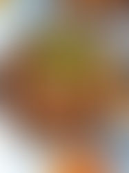 ראמן טבעוני עם מרק חמאת בוטנים וטופו