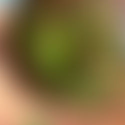 סלט מלפפונים אסייתי