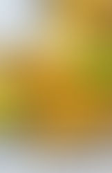 חמוצים מטוגנים