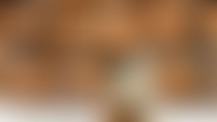 בראוניז אקסטרה מושחתים עם לוטוס וחמאת בוטנים