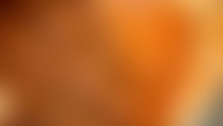 ג'חנון טבעוני פרווה