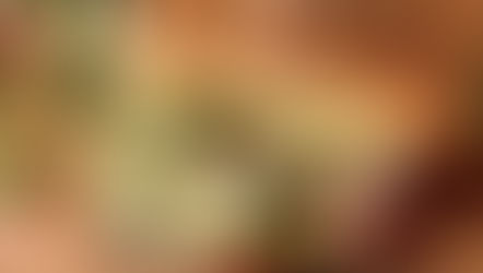 כריך פוקצ'ה פיצה