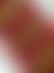 עוגת שמרים קינמון טבעונית