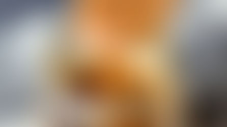 רוטב קרמל דבש מלוח