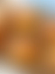 לחמניות בסגנון שוודי עם זעפרן וכורכום