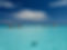Stingray City, Cayman Islands