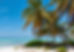 rum point2.jpg