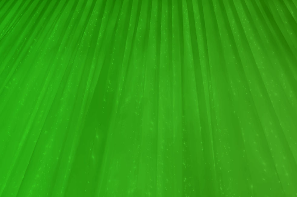green drapes.jpg