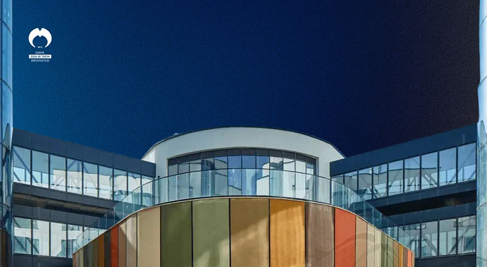 Без названия (210 x 115 мм) (18).jpg