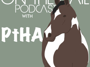 042. Down the Center with Pinto Horse Association of America
