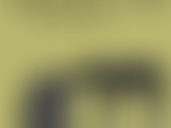 117. Horses ARE Embarrassing