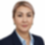 Gemini_Generated_Image_nqdp62nqdp62nqdp.png