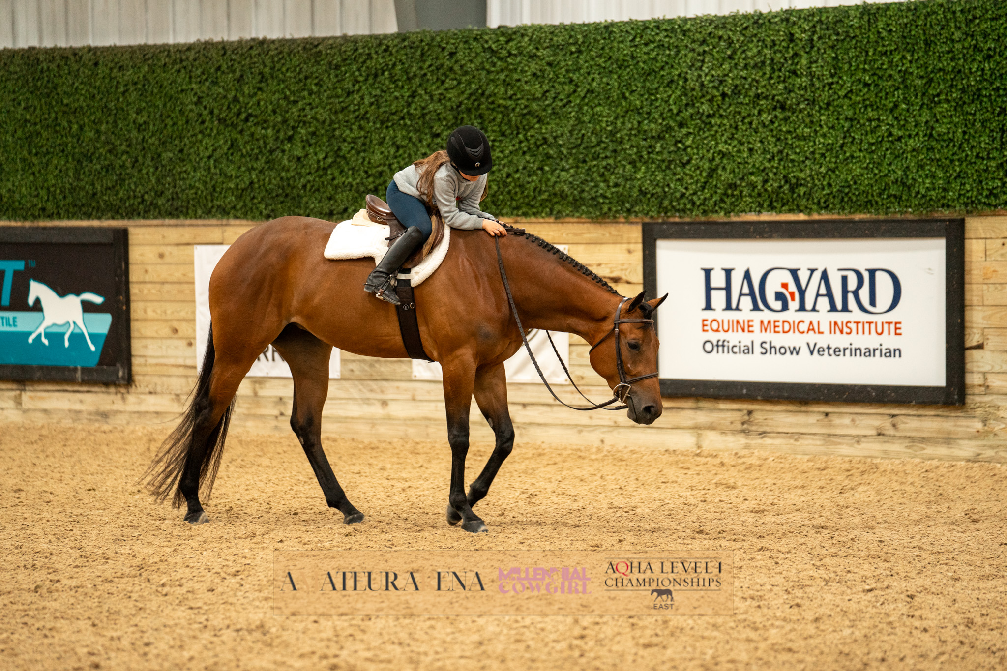 Highlights from the 2024 AQHA Level 1 East Championships