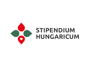 Stipendium Hungaricum — грант в Венгрию: как поступить бесплатно в европейский вуз