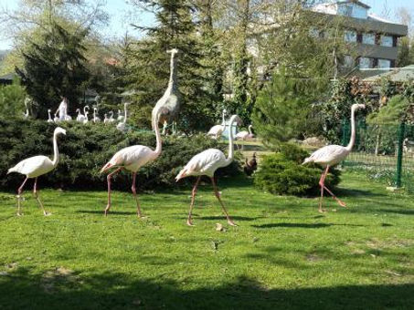 çanakçılar hayvanat bahçesi