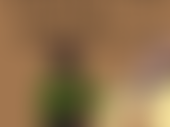 121. Cherishing Our Champions: Retirement Care with Walquist Quarter Horses