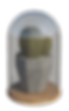 Cacto para Revt