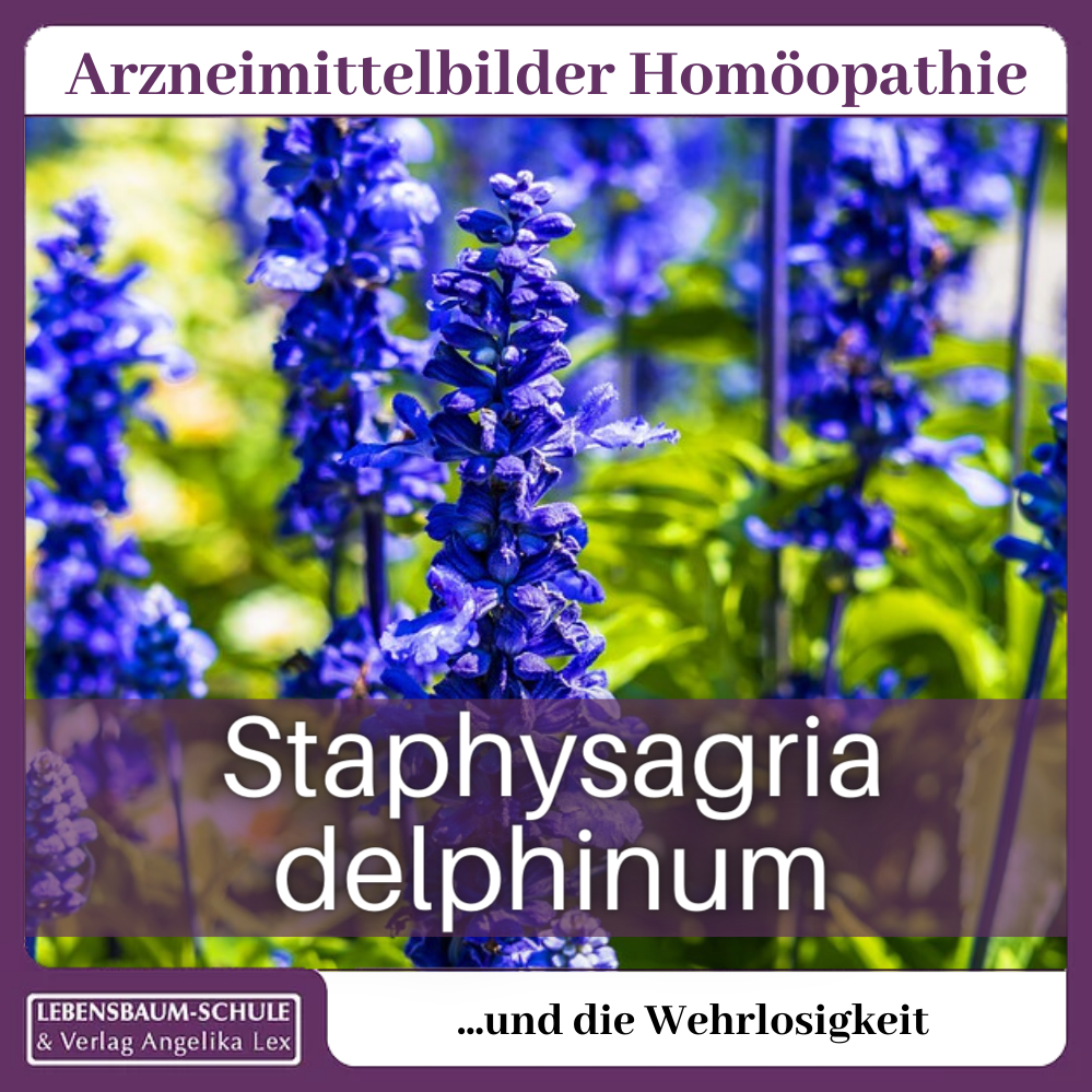 Staphysagria delphinum