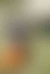 family photographers near me, family photos, family pictures, family photographer, family photoshoot, family portraits near me, newborn family photos, family photography, fall family photos, family photo, christmas family photos, family photographer nebraska, nebraska family photographer, family pictures nebraska