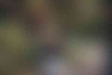 engagment photos, engagment photoshoots, engagement pictures, pic engagement, engagement photographers, photographers for engagement, couples photos, cute couples photos, couples photographer, engagement photographer near me, engagement photographer nebraska, nebraska engagement photographer, engagement photographer, engagement photos near me