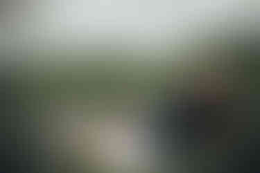 senior pictures, senior portraits, senior picture portraits, senior photos, senior photoshoot, senior pictures near me, senior photographers near me, senior photos near me, yearbook photo shoot, nebraska senior photographer, senior portrait photographer nebraska, senior portrait photographer, guys senior photos, guys senior pics, girls senior photos, girls senior pics