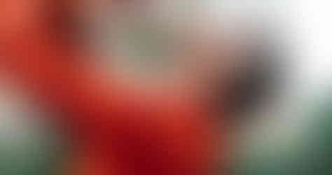 family photographers near me, family photos, family pictures, family photographer, family photoshoot, family portraits near me, newborn family photos, family photography, fall family photos, family photo, christmas family photos, family photographer nebraska, nebraska family photographer, family pictures nebraska