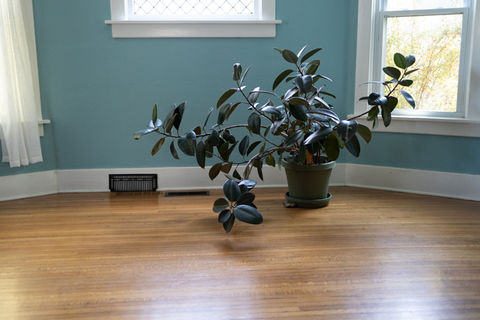 boudoir, boudoir photography, boudoir portraits, budeaux photography, boudoir photography near me, boudoir photographer, boudoir photos, boudoir pictures near me, boudoir shoot near me, boudir photo, boudoir photography photos, boudoir shoot, nebraska boudoir photographer, lincoln boudoir photographer, boudoir nebraska, boudoir lincoln NE, boudoir nebraska