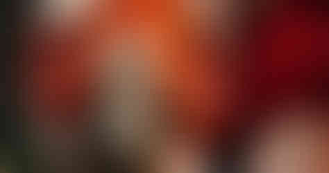 family photographers near me, family photos, family pictures, family photographer, family photoshoot, family portraits near me, newborn family photos, family photography, fall family photos, family photo, christmas family photos, family photographer nebraska, nebraska family photographer, family pictures nebraska