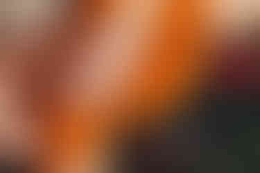 family photographers near me, family photos, family pictures, family photographer, family photoshoot, family portraits near me, newborn family photos, family photography, fall family photos, family photo, christmas family photos, family photographer nebraska, nebraska family photographer, family pictures nebraska