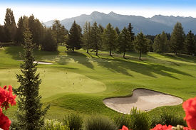 Golf Course on a summer morning (2).jpg