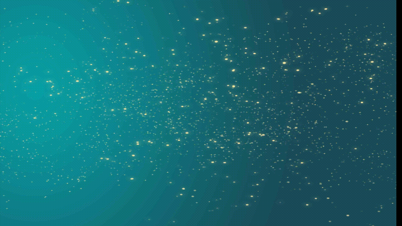 באנרים ניוזלטר.gif