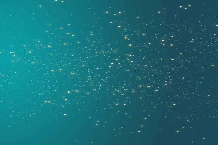 שכבות פרחים באנר.gif