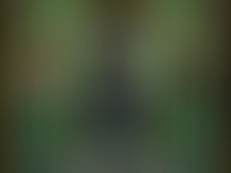 Review of The Maiden and Her Monster by Maddie Martinez